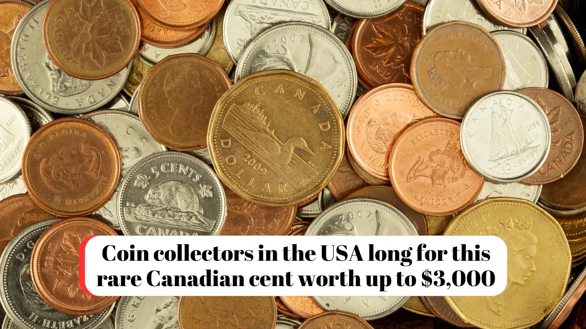 Coin collectors in the USA long for this rare Canadian cent worth up to $3,000